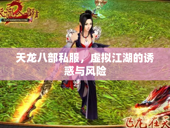 天龙八部私服，虚拟江湖的诱惑与风险