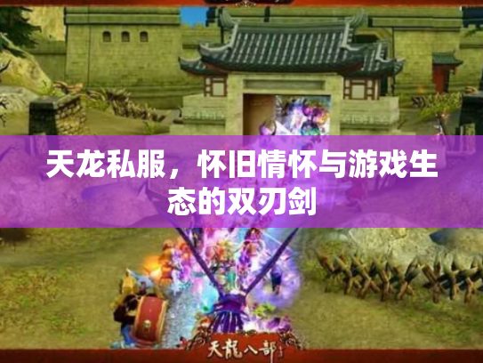 天龙私服，怀旧情怀与游戏生态的双刃剑