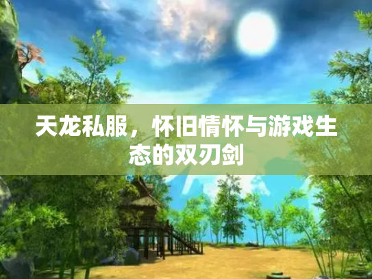 天龙私服，怀旧情怀与游戏生态的双刃剑