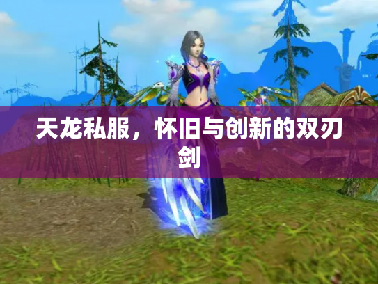 天龙私服，怀旧与创新的双刃剑