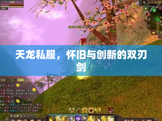 天龙私服，怀旧与创新的双刃剑