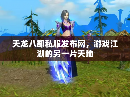 天龙八部私服发布网，游戏江湖的另一片天地