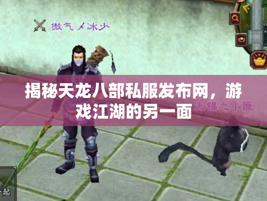 揭秘天龙八部私服发布网，游戏江湖的另一面