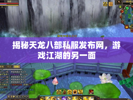 揭秘天龙八部私服发布网，游戏江湖的另一面
