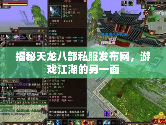 揭秘天龙八部私服发布网，游戏江湖的另一面