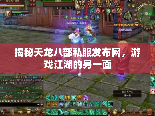揭秘天龙八部私服发布网，游戏江湖的另一面