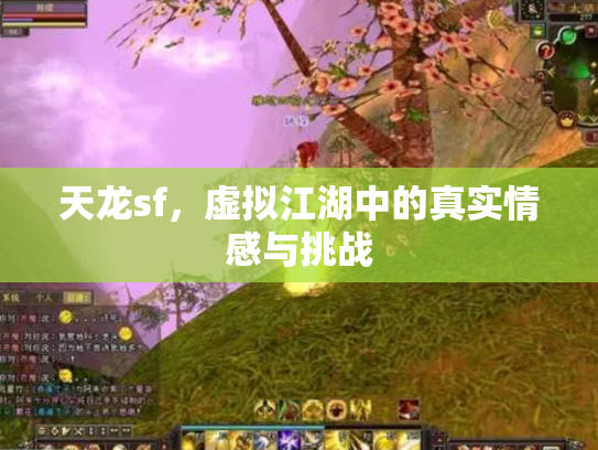 天龙sf，虚拟江湖中的真实情感与挑战