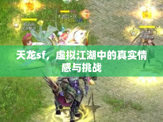 天龙sf，虚拟江湖中的真实情感与挑战