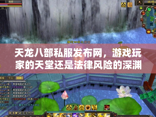 天龙八部私服发布网，游戏玩家的天堂还是法律风险的深渊？
