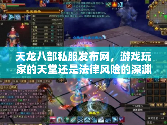 天龙八部私服发布网，游戏玩家的天堂还是法律风险的深渊？