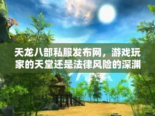 天龙八部私服发布网，游戏玩家的天堂还是法律风险的深渊？