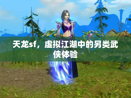 天龙sf，虚拟江湖中的另类武侠体验