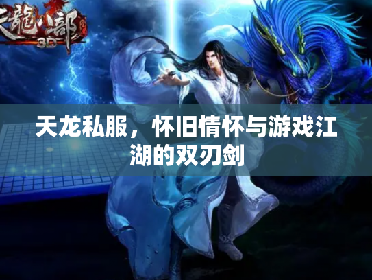 天龙私服，怀旧情怀与游戏江湖的双刃剑