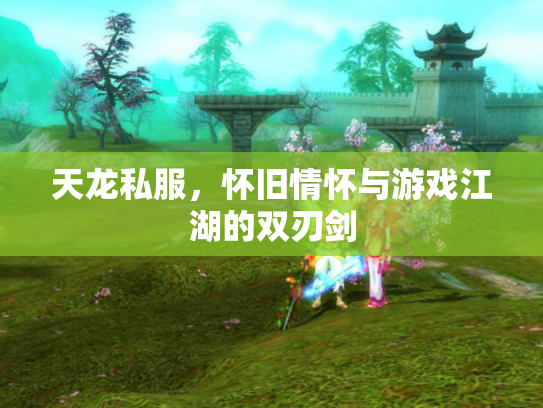 天龙私服，怀旧情怀与游戏江湖的双刃剑