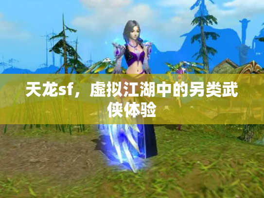 天龙sf，虚拟江湖中的另类武侠体验