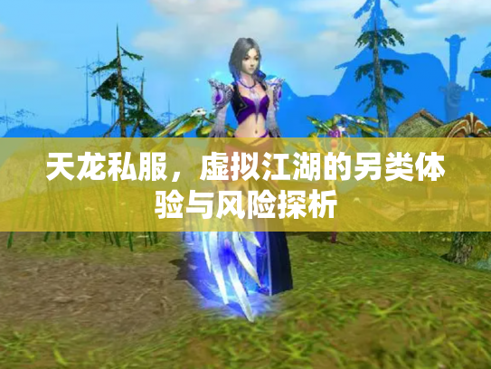 天龙私服，虚拟江湖的另类体验与风险探析