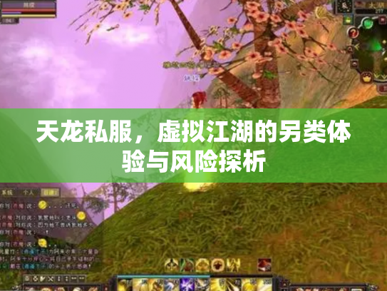 天龙私服，虚拟江湖的另类体验与风险探析