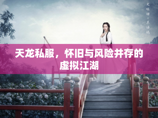 天龙私服，怀旧与风险并存的虚拟江湖