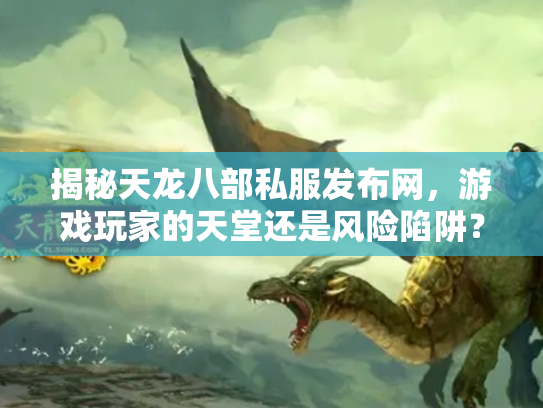揭秘天龙八部私服发布网，游戏玩家的天堂还是风险陷阱？