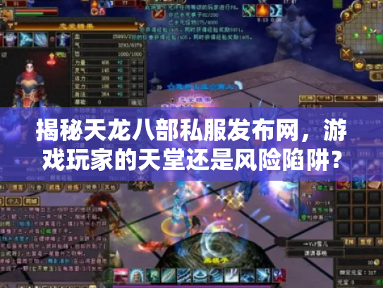 揭秘天龙八部私服发布网，游戏玩家的天堂还是风险陷阱？