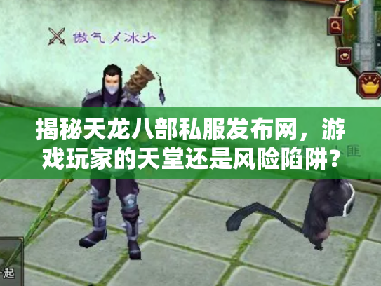 揭秘天龙八部私服发布网，游戏玩家的天堂还是风险陷阱？