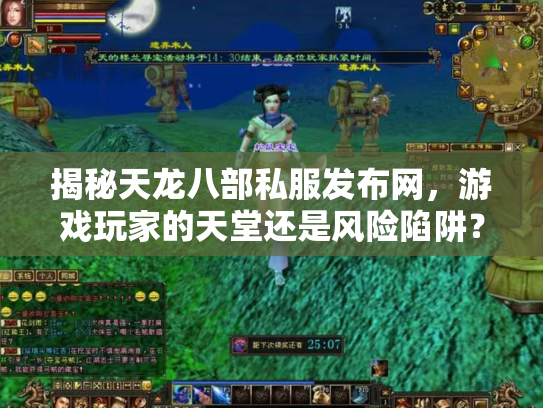 揭秘天龙八部私服发布网，游戏玩家的天堂还是风险陷阱？