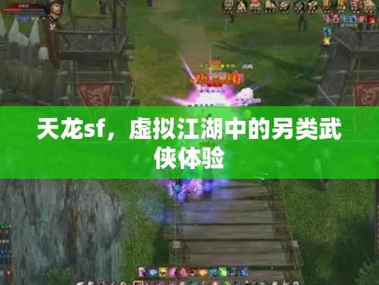 天龙sf，虚拟江湖中的另类武侠体验
