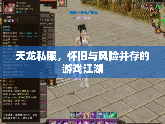 天龙私服，怀旧与风险并存的游戏江湖