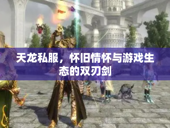 天龙私服，怀旧情怀与游戏生态的双刃剑