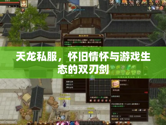 天龙私服，怀旧情怀与游戏生态的双刃剑