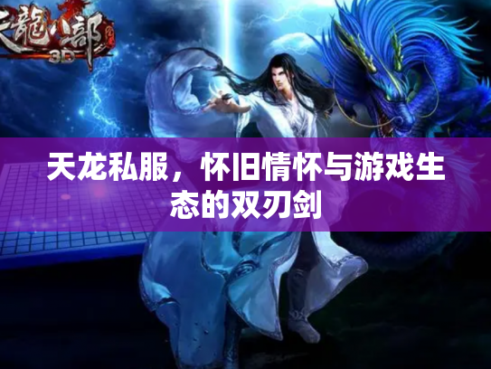天龙私服，怀旧情怀与游戏生态的双刃剑