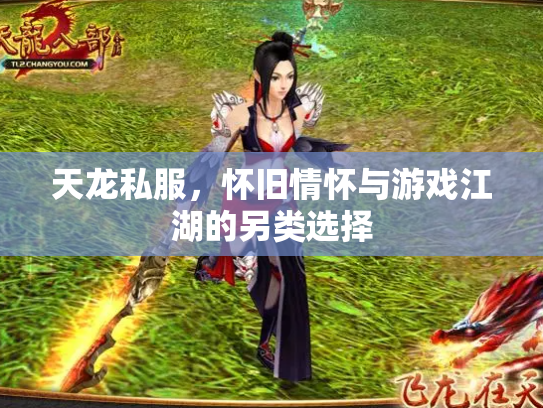 天龙私服，怀旧情怀与游戏江湖的另类选择