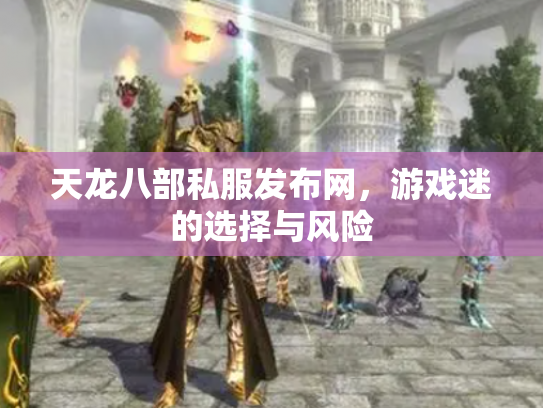 天龙八部私服发布网，游戏迷的选择与风险