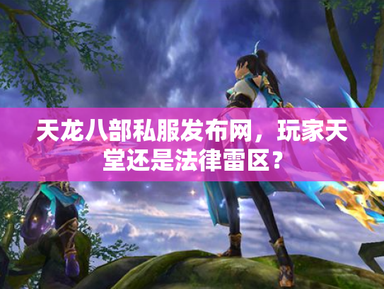 天龙八部私服发布网，玩家天堂还是法律雷区？