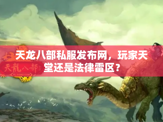 天龙八部私服发布网，玩家天堂还是法律雷区？