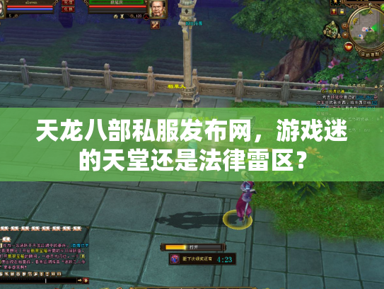 天龙八部私服发布网，游戏迷的天堂还是法律雷区？