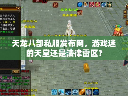 天龙八部私服发布网，游戏迷的天堂还是法律雷区？
