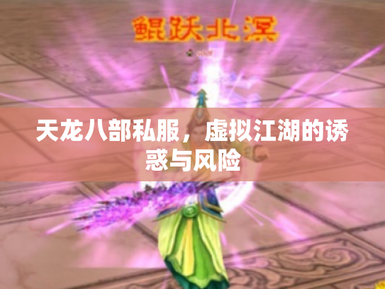 天龙八部私服，虚拟江湖的诱惑与风险