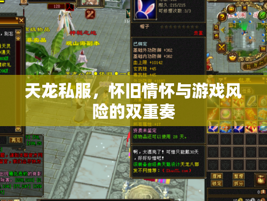 天龙私服，怀旧情怀与游戏风险的双重奏