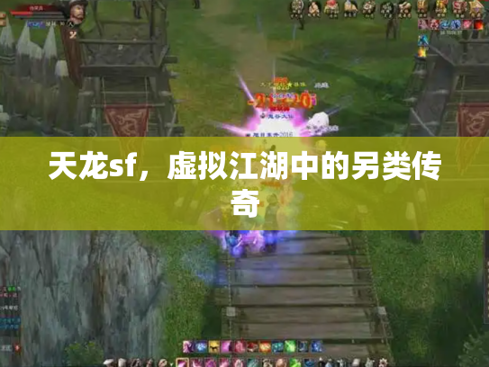 天龙sf，虚拟江湖中的另类传奇