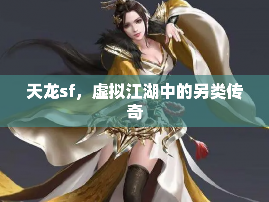 天龙sf，虚拟江湖中的另类传奇