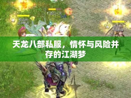 天龙八部私服，情怀与风险并存的江湖梦