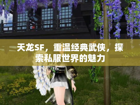 天龙SF，重温经典武侠，探索私服世界的魅力