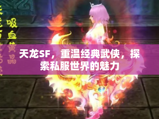 天龙SF，重温经典武侠，探索私服世界的魅力