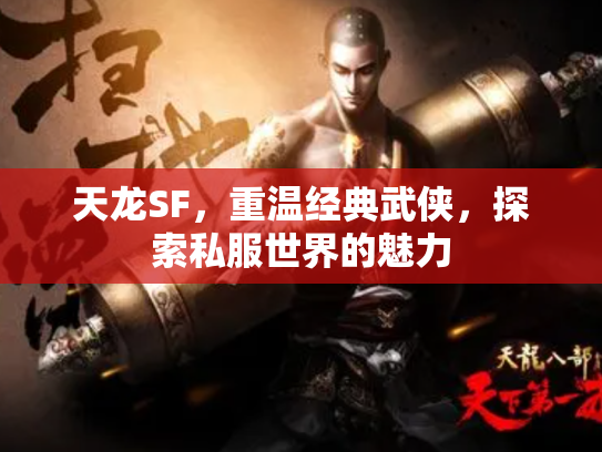 天龙SF，重温经典武侠，探索私服世界的魅力