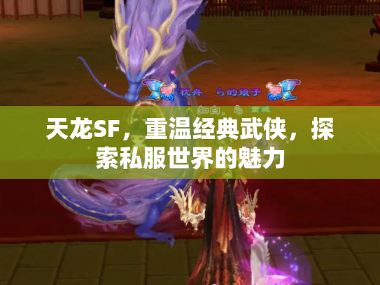 天龙SF，重温经典武侠，探索私服世界的魅力
