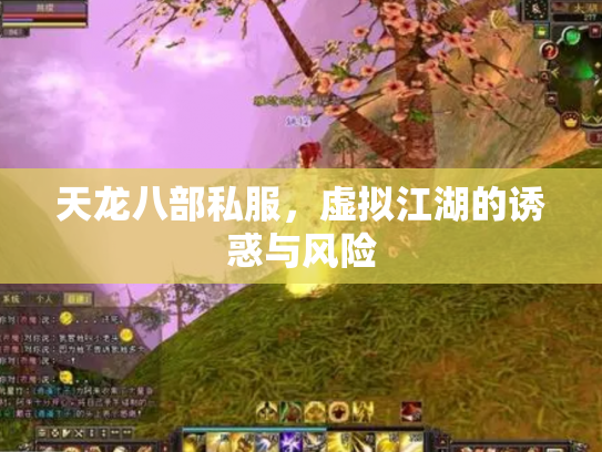 天龙八部私服，虚拟江湖的诱惑与风险