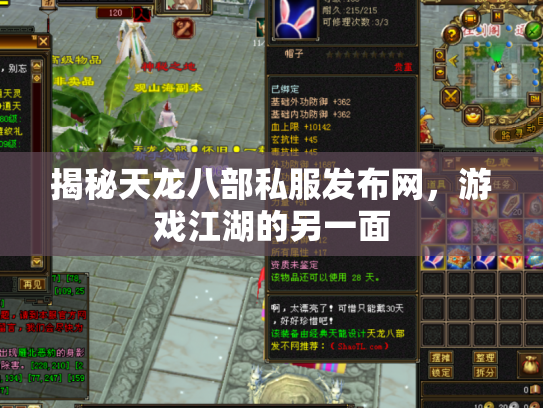 揭秘天龙八部私服发布网，游戏江湖的另一面