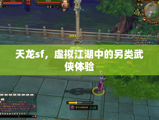 天龙sf，虚拟江湖中的另类武侠体验