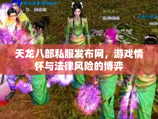 天龙八部私服发布网，游戏情怀与法律风险的博弈